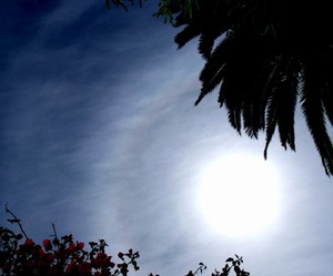 Sun Halo2