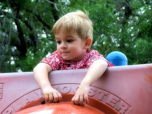 tara  Portfolio