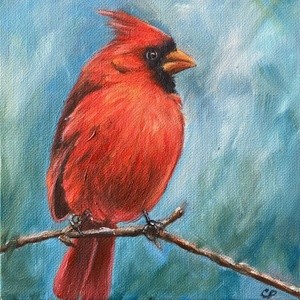 Cardinal