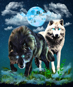 Wolf Moon Night Background