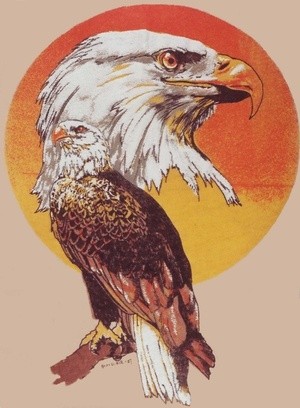 American Eagle