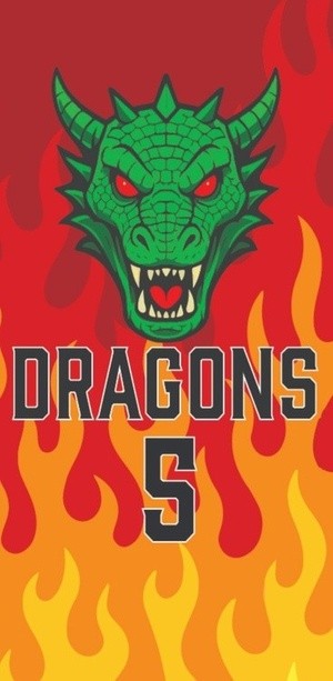 Dragon's logo 