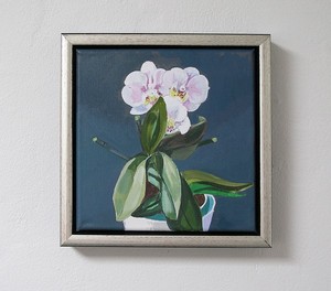 25x25 orchid