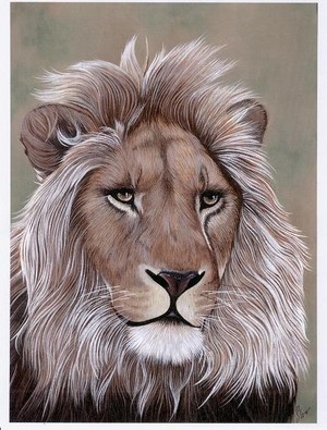 The Lion of Judah