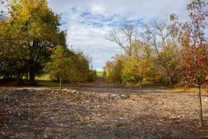 Valley of the Shenandoah