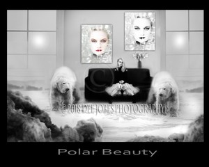 Polar Bear Photo Art by DEE JOBES PHOTOGRAPHY