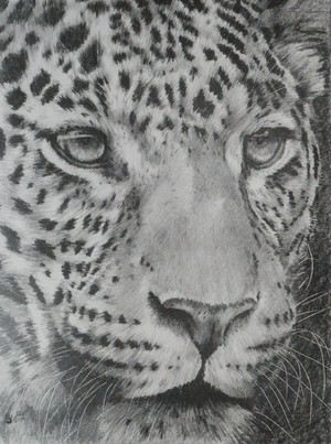 Up Close Leopard