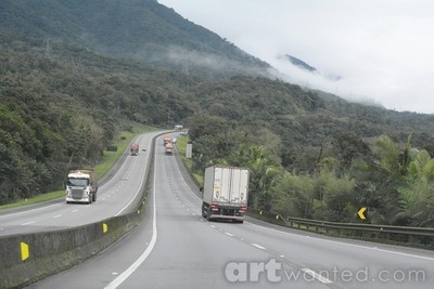 cutting the rain forest