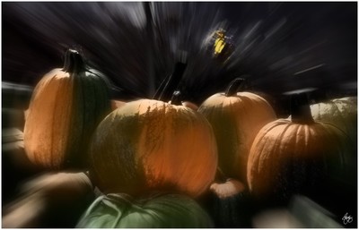 A Rush of Painted Pumpkins