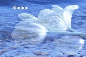 Shalom