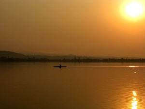 Anurag Bhateja