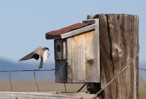 Thomas Curry Portfolio