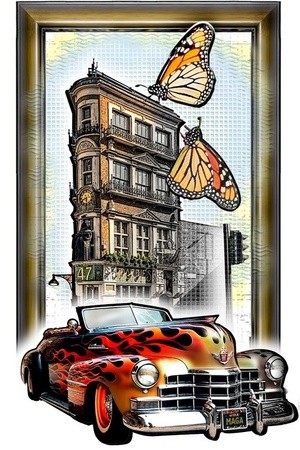 -Butterfly Car(15)
