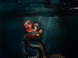 Lagoon Creature