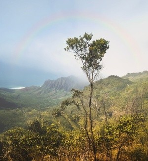 The Na Pali coast from the Pu’u O Kila Lookout in Koke'e State Park. 2