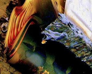 Jonathan Steele