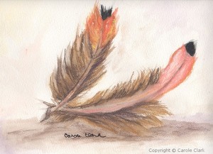 Feathers