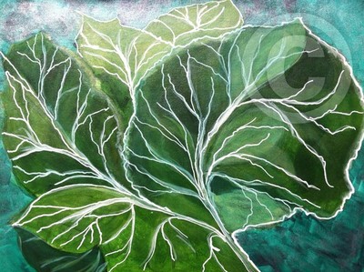 GLEN'S COLLARDS