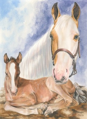 Missouri Fox Trotter