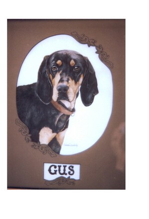 Deborah  Johnson Portfolio