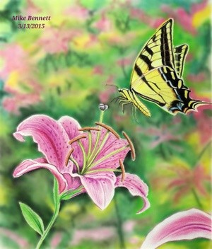 Tiger Swallowtail and Stargazer Lilly