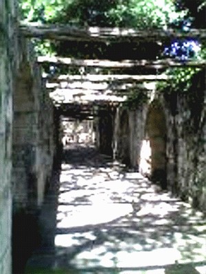 Alamo Courtyard