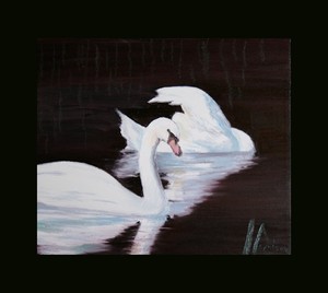Hunter Swans
