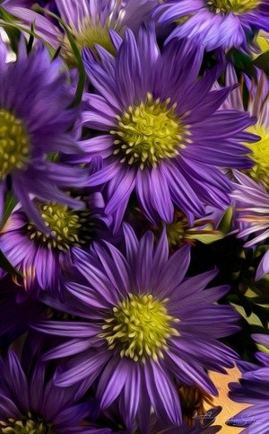 The color purple