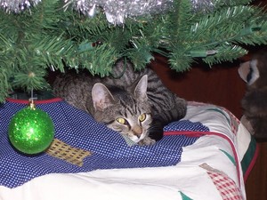 Perfect Gift
