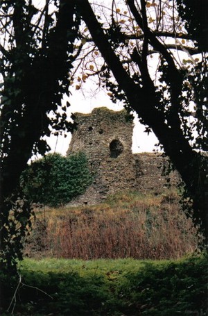 Castle Tower