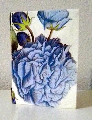 Handmade Book Photo