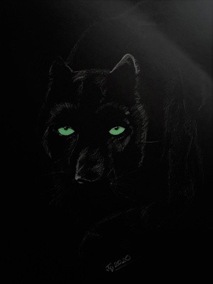 Green eyed Panther (2)