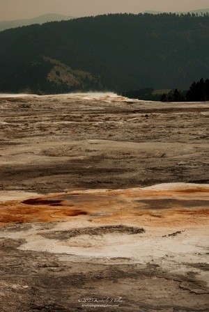 2018 Mammoth Hot Springs P9635