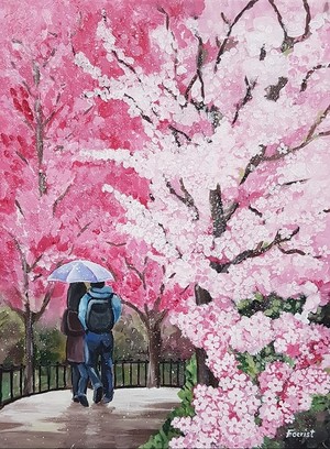 Cherry blossoms