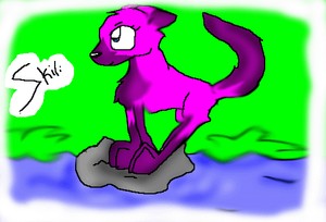 Wolfy nostia