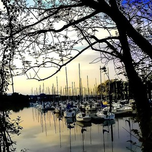 Sailing Marina