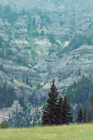 A Waterfall in Yellowstone P0057