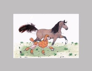 Hackney Pony & Apricot Poodle Whimsical Illustration