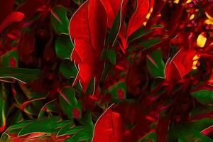 Leaves meant for Christmas DECOR