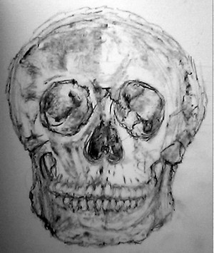 Human Skull Drawing