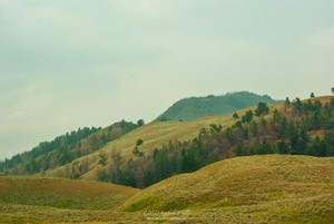 Yellowstone, Lamar Valley, P9934