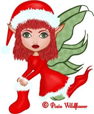 Christmas Fae 2011