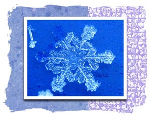 2008 Nano-Snowflower 1-Star of David