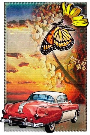 -Butterfly car (4)