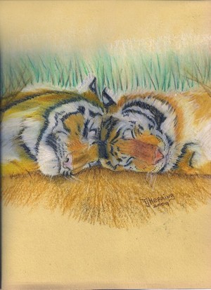 Sleeping Tigers