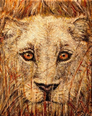 Faces of Africa--the Lioness