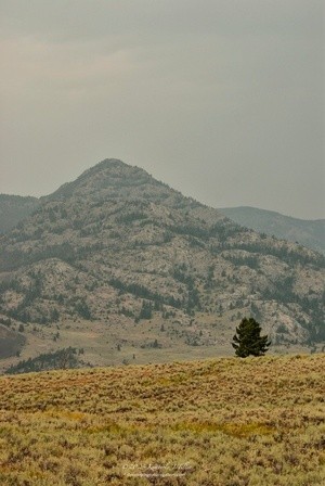 Yellowstone Landscape P9666