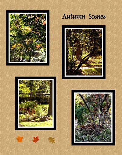 Autumn Scenes Collage