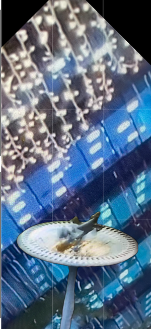 Screenshot 2026-07-12 at 3