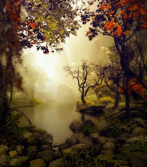 Rocks Around Pond